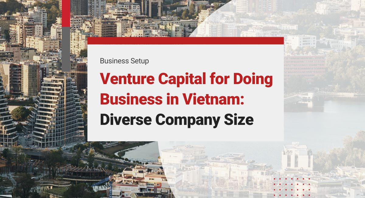 Small and Medium Enterprises in Vietnam: Venture capital