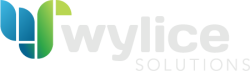 wylice incorp vietnam